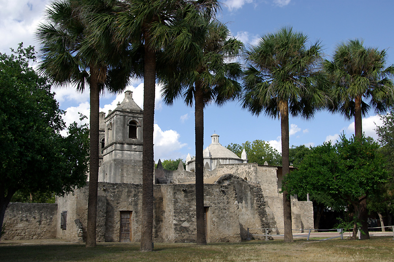 Concepcion with palms