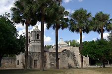 Concepcion with palms