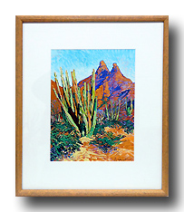 FRAMED SONORA